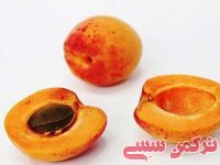ادامه مطلب...