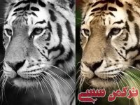 ادامه مطلب...