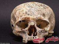 ادامه مطلب...