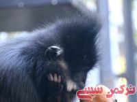 ادامه مطلب...