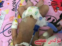 ادامه مطلب...