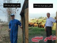 ادامه مطلب...