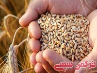 ادامه مطلب...