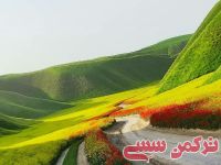 ادامه مطلب...