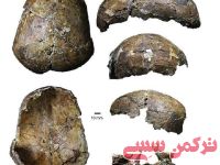 ادامه مطلب...