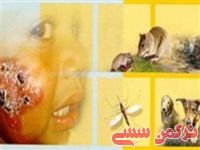 ادامه مطلب...