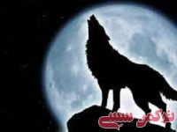 ادامه مطلب...