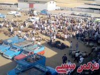 ادامه مطلب...