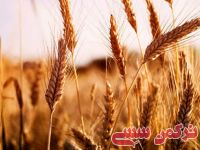 ادامه مطلب...