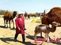 ادامه مطلب...