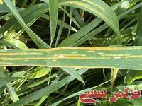ادامه مطلب...
