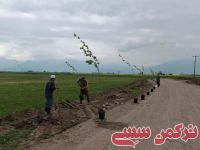 ادامه مطلب...
