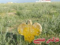 ادامه مطلب...
