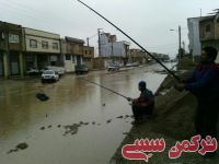 ادامه مطلب...