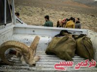 ادامه مطلب...