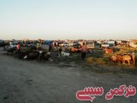 ادامه مطلب...