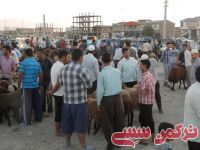 ادامه مطلب...