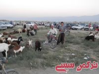ادامه مطلب...