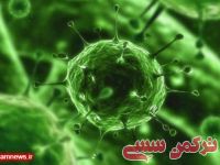 ادامه مطلب...