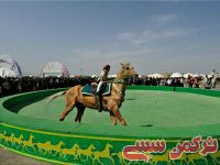 ادامه مطلب...