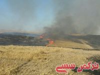 ادامه مطلب...