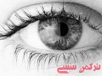 ادامه مطلب...