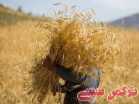 ادامه مطلب...