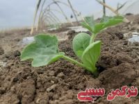 ادامه مطلب...