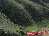 ادامه مطلب...