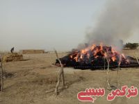 ادامه مطلب...