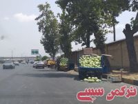 ادامه مطلب...