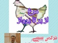 ادامه مطلب...