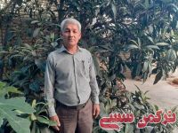 ادامه مطلب...