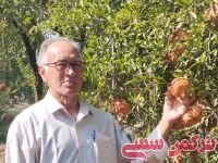 ادامه مطلب...