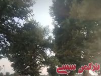 ادامه مطلب...
