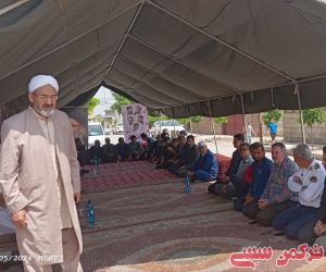 c_300_250_16777215_10_images_photo_2024-05-25_14-49-02.jpg